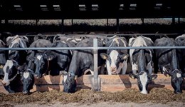 Record keeping and expert advice